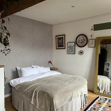 Cozy Studio-city Center Apartment