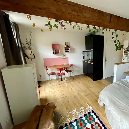 Cozy Studio-city Center Apartment *