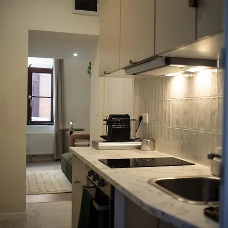 Apartment Avec Mezzanine Et Terasse *