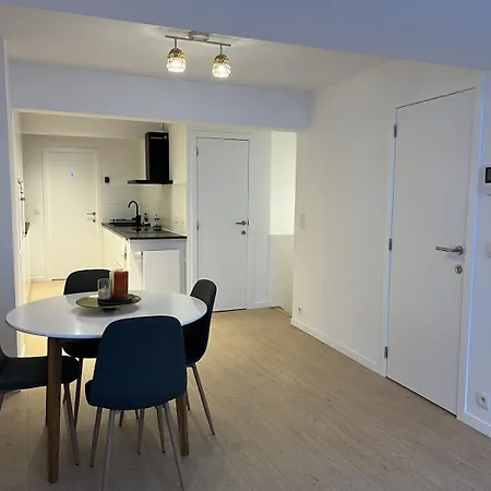 Modern & Elegant Near Montgomery Apartment Brussels