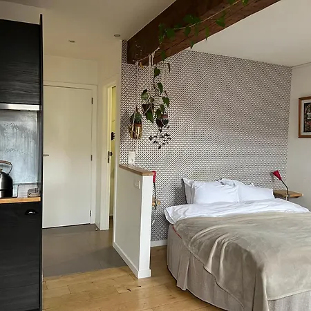 Cozy Studio-city Center Apartment *
