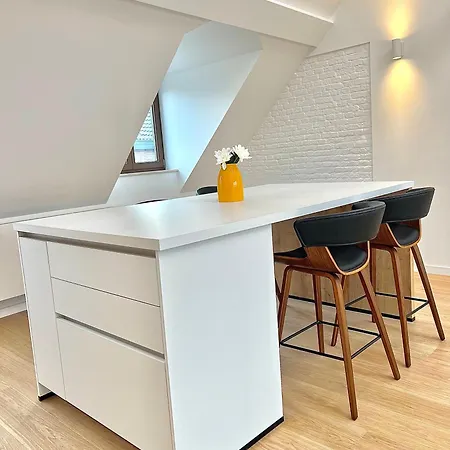 Duplex Design & Elegant Au Coeur De * Brussels