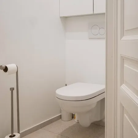Charming Renovated In Vibrant Saint Gilles, Brussels