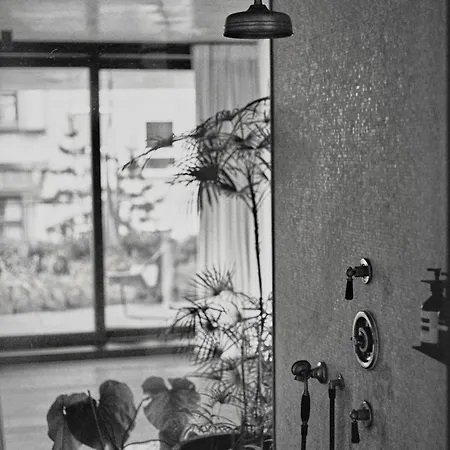 Teddy Picker Homestay Brussels
