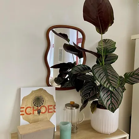 Cozy In Center Matonge District Apartment Brussels