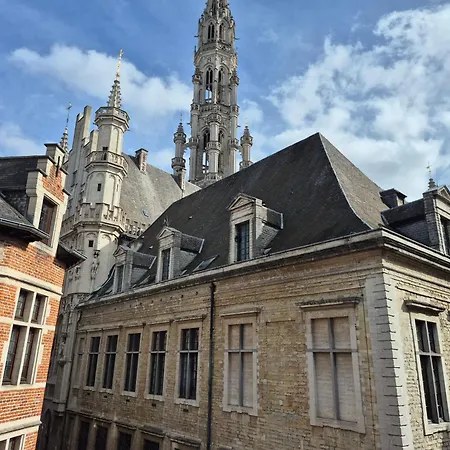 Les Pieds A La Grande Place Apartment