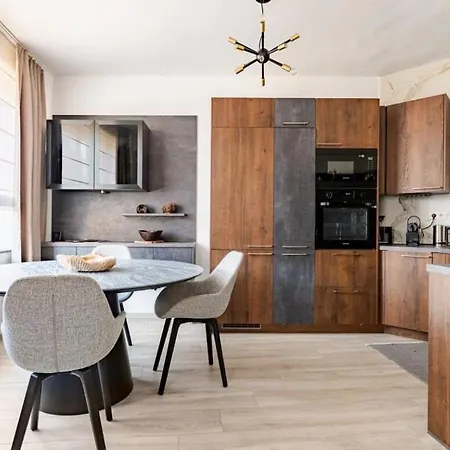 Le Charme Urbain Lumineux Appartement Brussel