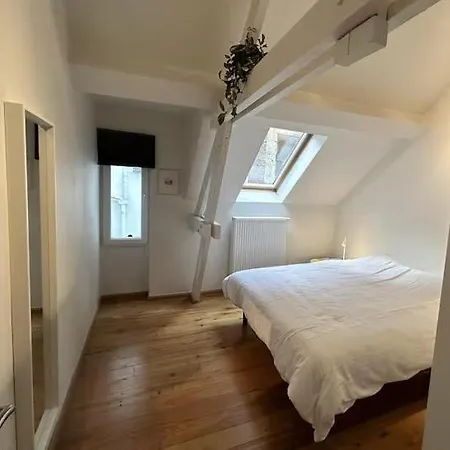 Duplex Loft Apartment Brussels