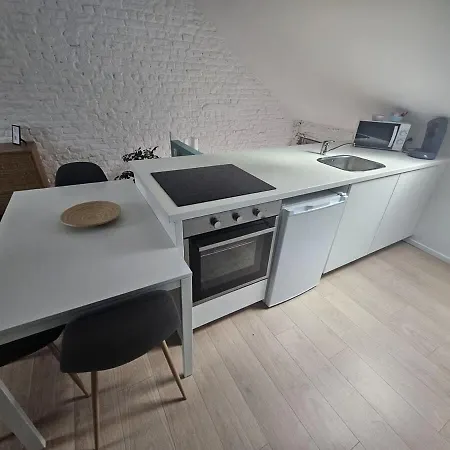 Apartment Design In Center Brussels