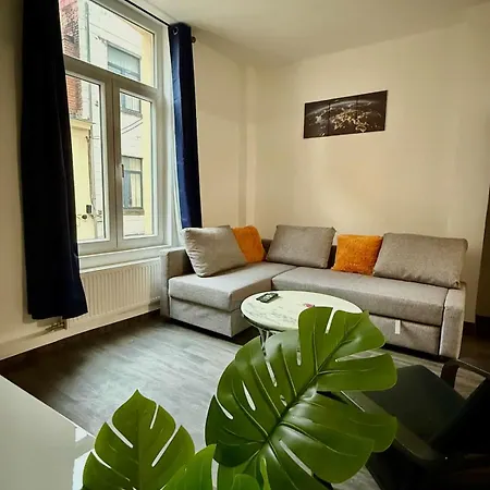 Spacious 7 Min From Gare Du Midi Brussels