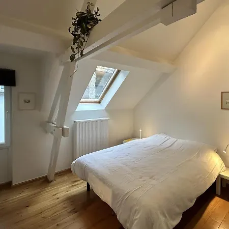 Duplex Loft Apartment