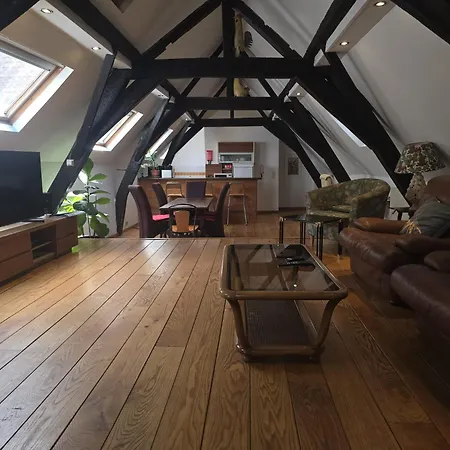 Charming Duplex In Historic Brussels Apartment