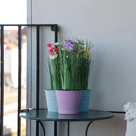 Homestay Sur Le Quai Brussels