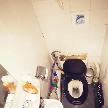 Trapmouse Hostel *