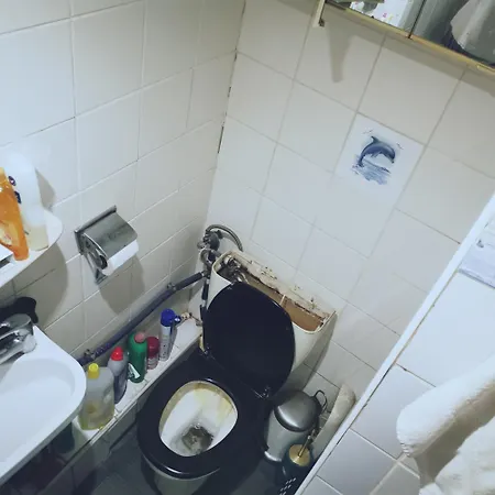 Hostel Trapmouse *