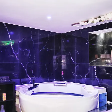 Villa & Wellness Area Jacuzzi Sauna Massage Table Brussels