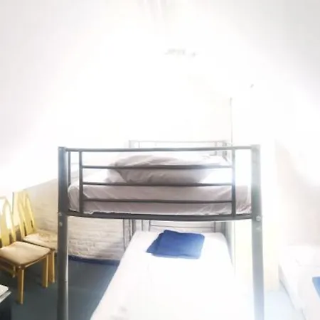 Hostel Trapmouse *