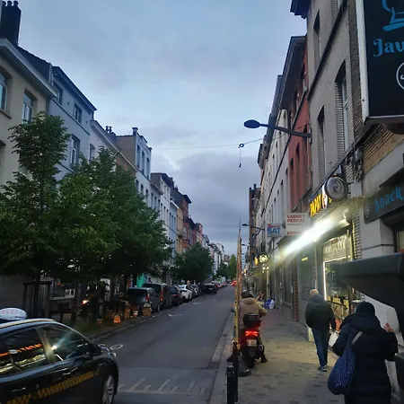 Trapmouse Brussels