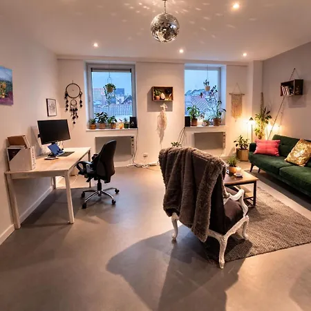 Apartment Cozy 1 Bedroom