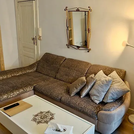Cosy Au Centre De Brussel