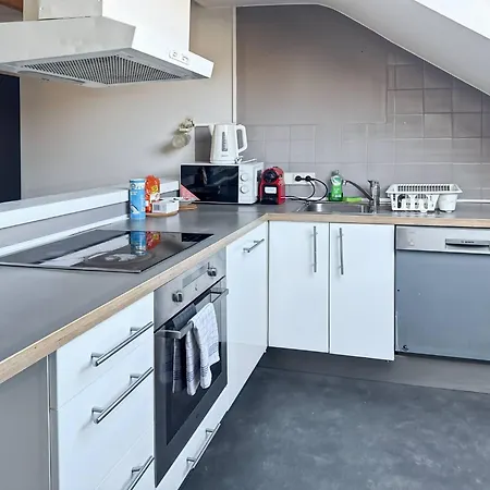 Spacious Luxury In Saint-gilles Near Ixelles Fast Transport Apartment