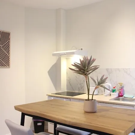 Moderne,5pers,acces Facile Au Centre,berchem Brussels