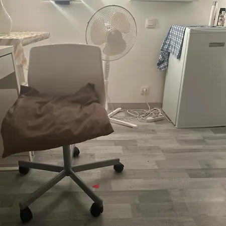 Homestay Petite Au Coeur De