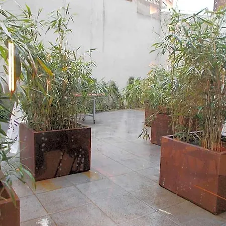 Hostel Brxxl 5 Centre Brussels
