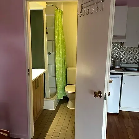 солнечная комфортная студия в андерлехт с лифтом Apartment *