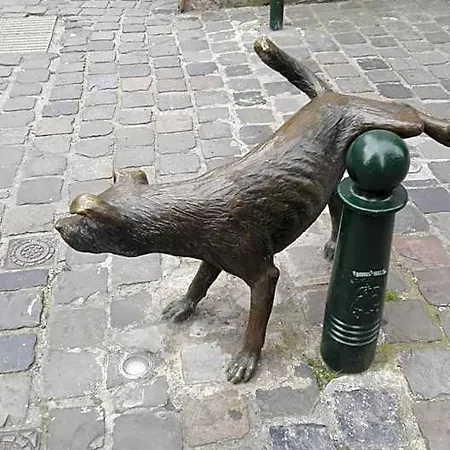 36 Brussels