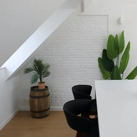 Duplex Design & Elegant Au Coeur De Apartment