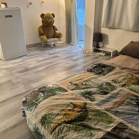 Homestay Belle Petit A Midi Brussels