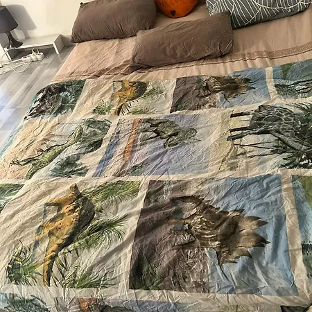 Belle Petite Chambre De 1,30 De Hauteur A Bruxelles Midi Homestay *