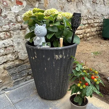 Tastefully-decorated Bedroom With Garden Access 3* Brussels