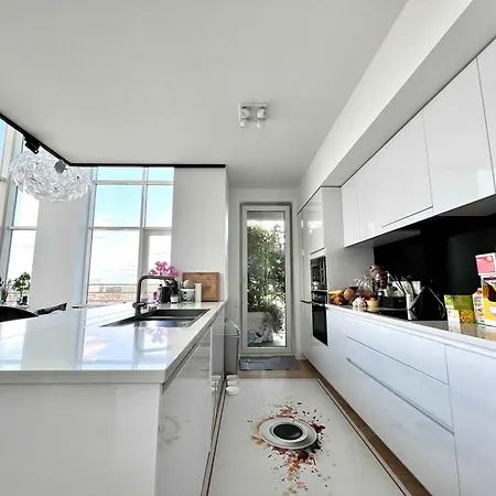 Skyline Luxury Penthouse In 220 M2 Of Elegance 4*