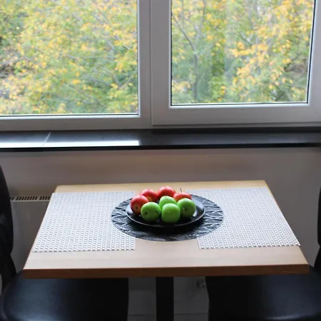 Apartment Elegant Renovated Studio, Center *