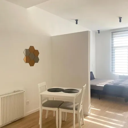 Cozy In Koekelberg Brussels