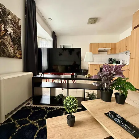Apartment & Elegant Close To The European Parliament Brussels
