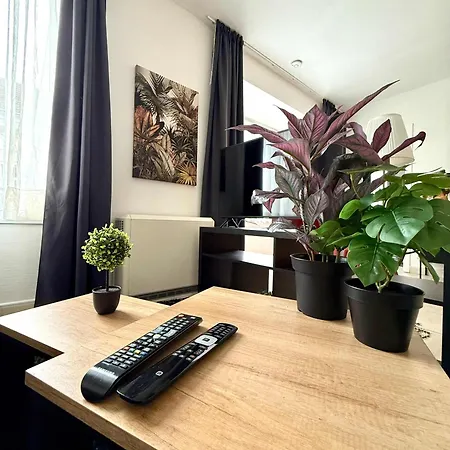 Apartment & Elegant Close To The European Parliament Brussels