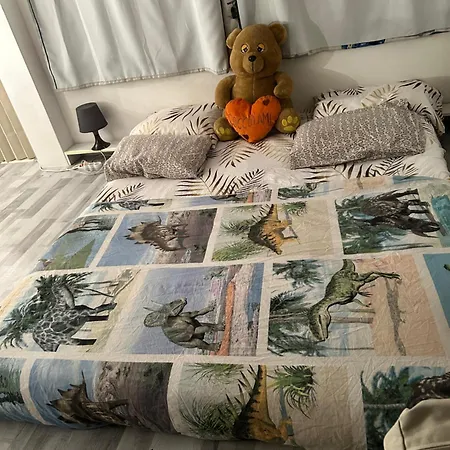 Homestay Belle Petite Au Coeur De Brussels