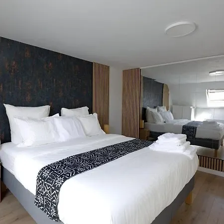 Cozy, Bright 2-bedroom Duplex In Brussels-laeken Apartment *