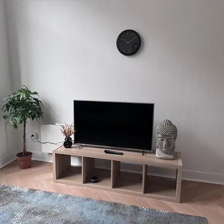 Midi Cozy Brussel