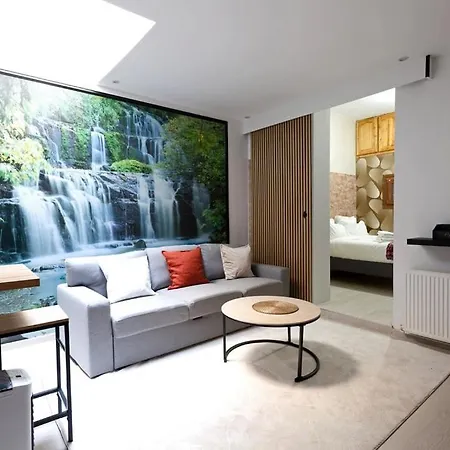 Cozy, Bright 2-bedroom Duplex In Brussels-laeken *