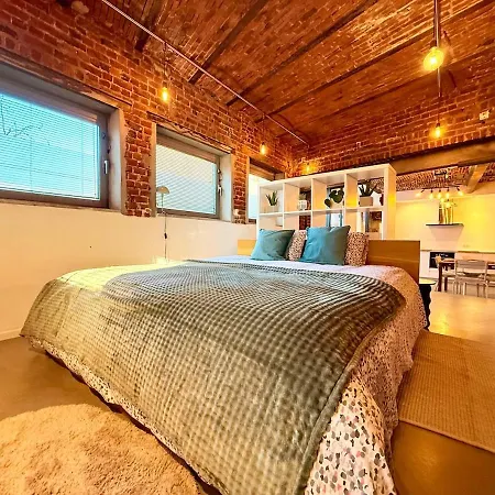 Apartment Quiet Loft With Terrace