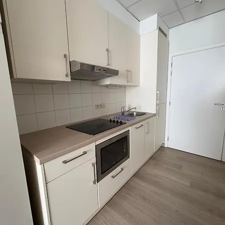 Brusselsnest Apartment Brussels