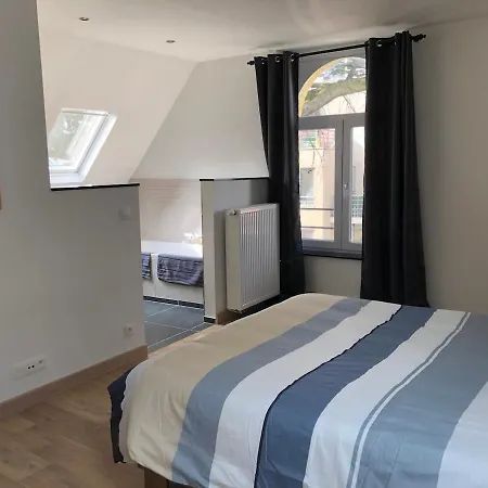Spacious In An Authentic Mansion Apartment Brussels