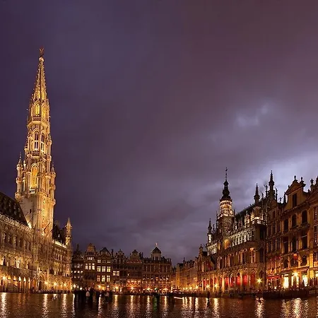 Exquisite In Apartment Brussels
