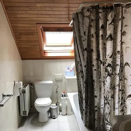 Bed & Breakfast Ambiorix Birch House *