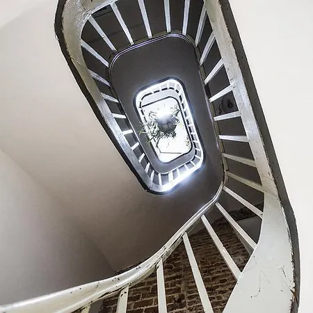 Les Chambres Du Petit Lion Guest house *