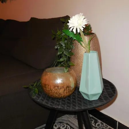 Central Flats Apartment *